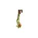 Land Organic Herbal Tea Organic Linden 12 Pieces Capsule Herbal Tea 15 Gr - Buy Online on GoSupps.com