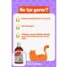 BioFeline Plus B Drops for Cats 50ml | Biotin Hair Health Drops to Prevent Hair Loss - Buy Online on GoSupps.com