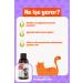 BioFeline Liquid Probiotic | Immune Booster for Cats and Dogs - Buy Online on GoSupps.com