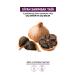 Orginx Fast Hair Growth Special Black Garlic Oil for Extremely Damaged and Falling Hair 50 ml - Buy Online on GoSupps.com