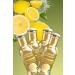 Elite Natural Organic Lemonade 4 Pack - Buy Online on GoSupps.com