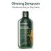 Green Label Greenlabel Ginseng and Mint Extract Paraben-Free Salt-Free Anti-Dandruff Care and Repair Shampoo 400ml - Buy Online on GoSupps.com