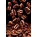 Mehmet Efendi Colombian Espresso Blend No:3 Bean Coffee - Buy Online on GoSupps.com