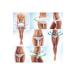 OneSpring Slim Cream Tight and Slim Appearance Body Care Cream 60 gr - Buy Online on GoSupps.com