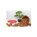 HALUK AYDIN NUTS Raw Hazelnut Kernels 1000 gr - - Buy Online on GoSupps.com