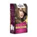 Palette Auburn (7.0) Hair Dye 6281031271940 - Buy Online on GoSupps.com