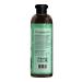 Phytoflora Salt-Free Herbal Shampoo with Nettle Extract for Oily and Dandruff Hair 400ml - Buy Online on GoSupps.com