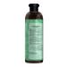 Phytoflora Salt-Free Herbal Shampoo with Nettle Extract for Oily and Dandruff Hair 400ml - Buy Online on GoSupps.com