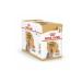 Royal Canin Yorkshire Terrier Adult Wet Dog Food 85 gr 12 Pieces - Buy Online on GoSupps.com
