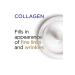 L'Oreal Paris Collagen Care Anti-Wrinkle and Anti-Rubber Plumping Daily Care Cream 50 ml - Buy Online on GoSupps.com