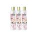 Pantene Sulfate-Free Volumizing Shampoo Biotin & Rose Water 675ml (225ML X 3) - Buy Online on GoSupps.com