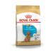 Royal Canin Poodle Puppy Dog Food 3 Kg