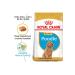 Royal Canin Poodle Puppy Dog Food 3 Kg - Buy Online on GoSupps.com