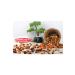 HALUK AYDIN NUTS Natural Fruit Mixed Nuts 1 Kg - Buy Online on GoSupps.com