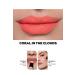 Avon Creamy Lip and Cheek Color - Coral in the Clouds - Buy Online on GoSupps.com