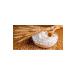 Katmer Hard Wheat Flour 5 Kg 4 Pieces - Buy Online on GoSupps.com