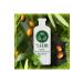 Herbal Essences Vegan Shampoo Repairing Argan Oil 400 ml X 2 Pcs - Buy Online on GoSupps.com