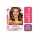 L'Oreal Paris L'or al Paris Excellence Creme Hair Dye 6.41 Hazelnut Brown
