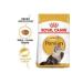 Royal Canin Persian Adult Adult Dry Cat Food 2 Kg. - Buy Online on GoSupps.com