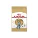 Royal Canin 2 kg Royal Canin British Cat Food - Buy Online on GoSupps.com