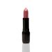 Pierre Cardin Porcelain Edition Lipstick - Rustic Pink - 234 - Buy Online on GoSupps.com