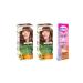 Garnier Color Naturals Set Paint 6-25 Chestnut Brown 2 Pieces