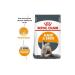 Royal Canin Hair Skin Food for Sensitive Cats 4 Kg