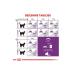 Royal Canin Sensible 33 Adult Cat Food for Cats with Sensitive Digestive Systems 2 Kg - Buy Online on GoSupps.com