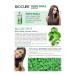 Biocure Anti Hair Loss Herbal Care Shampoo for Weak and Falling Hair 10 Plants 4 Vitamins - Buy Online on GoSupps.com