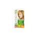 Garnier Color Naturals Hair Dye 7.3 Hazelnut Shell - Buy Online on GoSupps.com