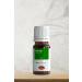 Defne Nature Castor Oil 20cc - Buy Online on GoSupps.com
