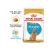 Royal Canin Poodle Puppy Dog Food 3 Kg - Buy Online on GoSupps.com