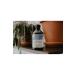 Davines Naturaltech Rebalancing Purifying Natural Shampoo for Oily Hair 250 Ml Key Hairdresser - Buy Online on GoSupps.com