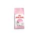 Royal Canin Kitten Dry Cat Food 10 Kg - Buy Online on GoSupps.com