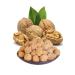 EM NE ALTINTA Plateau Walnut 2 Kg - Buy Online on GoSupps.com