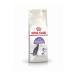 Royal Sterilised 37 Sterilised Cat Food 10 Kg