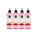 Ey p Sabri Tuncer Hair Tonic 500ml Raspberry Vinegar (Set of 4)