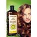 Pierre Cardin Herbal Shampoo For Dry & Damaged Hair 750 ml Herbal Shampoo (Dry and Damaged Hair)
