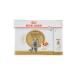 Royal Canin British Shorthair Canned Food 85 Gr X 12 Pieces