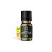 G M EK Moringa Oil 10 Ml - 100% Pure and Undiluted