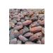 Mebrum Medina (MESHRUK) Dates Double 5 Kg Package