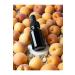 ALTINIXIR Apricot Kernel Oil Cold Pressed 100ml - Buy Online on GoSupps.com