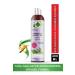 Gokcek Healing Nettle Shampoo 400ml - (For Oily Hair)