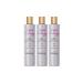 Pantene Hair Biology Anti-Orange Silver/Purple Shampoo For Blonde Hair 250ml x3 - Buy Online on GoSupps.com