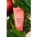 Aveda Travel Size Nutriplenish Light Moisturizing Mask for Dry Hair 25 ml 018084036013 - Buy Online on GoSupps.com