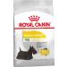 Royal Canin Mini Dermacomfort Dog Food For Skin Sensitivity 3 Kg - Buy Online on GoSupps.com