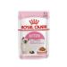 Royal Canin Royal Canin Kitten Wet Cat Food 6 Pieces X 85 gr Kitten Gravy Sauce - Buy Online on GoSupps.com