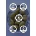 BACK TO THE AEGEAN Homemade Traditional Kalamata Large Green Cracked Olives Palamut - 1 Kg. (CONTAINS ONLY SALT AND WATER) - Buy Online on GoSupps.com
