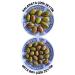 BACK TO THE AEGEAN Homemade Traditional Kalamata Large Green Scratched Olives Bonito - 1 Kg. (CONTAINS ONLY SALT AND WATER) - Buy Online on GoSupps.com