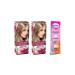 Garnier Honey Blonde Striking Colors Paint 7.0 2 Pieces